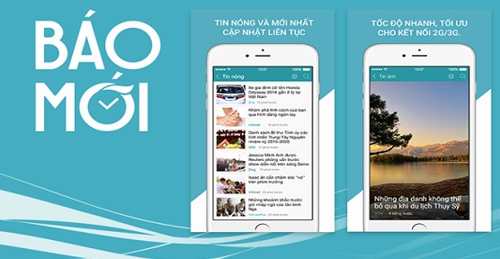 Có nên để cây phát lộc trong nhà: bí quyết chăm sóc và ý nghĩa phong thủy